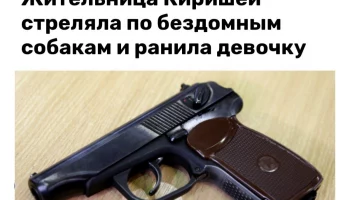 Женщина выстрелила в голову школьнице в Ленобласти