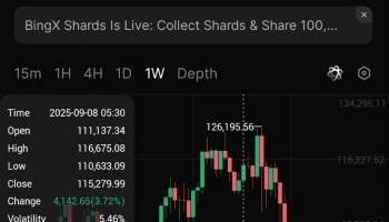 About bitcoin down